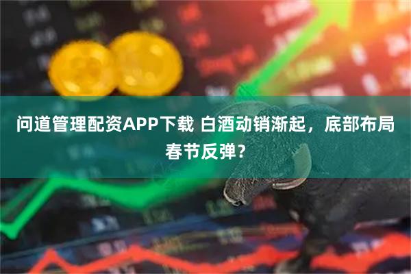 问道管理配资APP下载 白酒动销渐起，底部布局春节反弹？